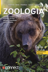 copertina di Zoologia ( contenuti online inclusi )