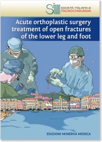 copertina di Acute orthoplastic surgery treatment of open fractures of the lower leg and foot