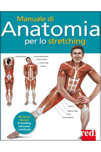 copertina di Manuale di Anatomia per lo Stretching - 50 esercizi illustrati di stretching rinforzante ...