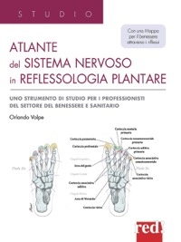 copertina di Atlante del sistema nervoso in reflessologia plantare - Uno strumento di studio per ...