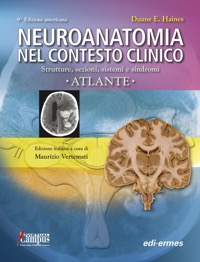 copertina di Neuroanatomia nel contesto clinico - Strutture, sezioni, sistemi e sindromi - Atlante
