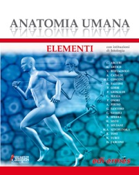 copertina di Anatomia Umana - Elementi con istituzioni di Istologia ( contenuti online inclusi ...