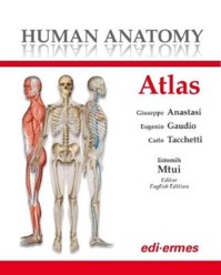 copertina di Human Anatomy - Atlas
