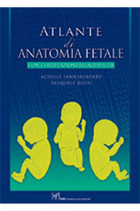 copertina di Atlante di anatomia fetale con correlazioni ecografiche