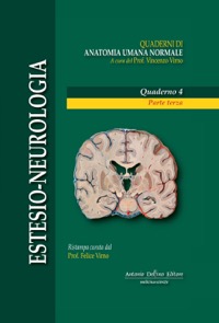 copertina di Estesio - Neurologia - Quaderni di Anatomia Umana Normale - Parte Terza