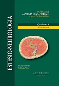 copertina di Estesio - Neurologia - Quaderni di Anatomia Umana Normale - Parte Quarta