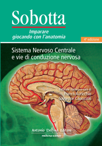 copertina di SOBOTTA Imparare giocando con l' anatomia Sistema nervoso centrale e vie di comunicazione ...