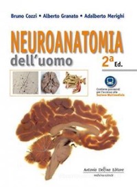 copertina di Neuroanatomia dell' uomo ( contiene password per l' accesso alla Sezione Multimediale ...