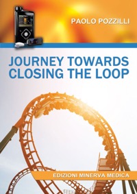 copertina di Journey towards closing the loop