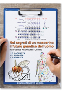 copertina di Nei segreti di un moscerino il futuro genetico dell' uomo: Hox - genes - neuroscristopatie