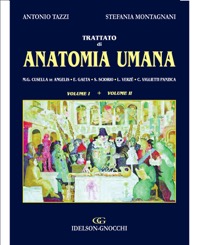 copertina di Trattato di anatomia umana - Con CD Rom