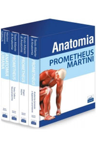 copertina di Cofanetto Anatomia : Prometheus Testo Atlante di Anatomia ( 3 volumi ) + Martini ...