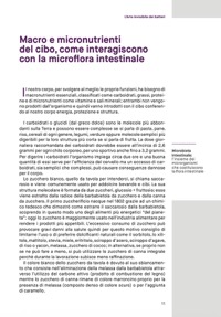 copertina di L' arte invisibile dei batteri