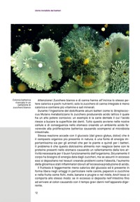 copertina di L' arte invisibile dei batteri