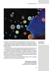 copertina di L' arte invisibile dei batteri