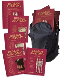 copertina di Treatise on Human Anatomy ( Systemic Approach ) - Topographic Approach - Atlas - ...