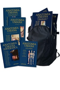 copertina di Trattato di Anatomia Umana 2021 + Atlante di Anatomia Umana ( Anatomy Bag Plus )