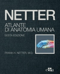 copertina di Netter - Atlante di Anatomia Umana . Penultima Edizione ( 6ed. 2018 rilegata ) Formato ...