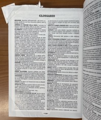 copertina di Prontuario del wound care per la prevenzione delle lesioni cutanee ( vulnologia ) ...