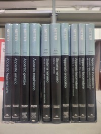 copertina di Netter - La Medicina - Anatomia, Fisiopatologia Clinica - Opera in tre cofanetti ...