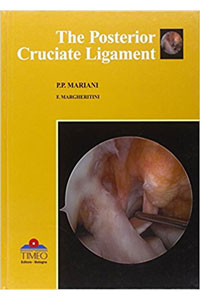 copertina di The posterior cruciate ligament