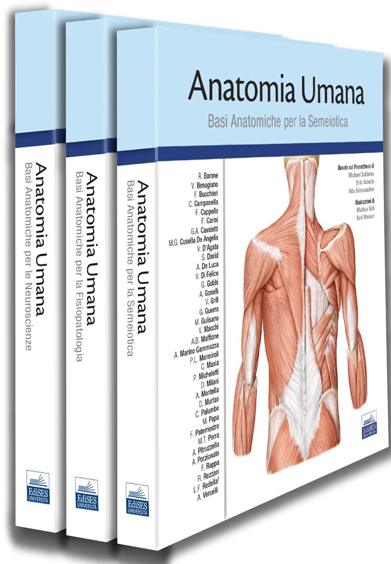 AAVV Anatomia Umana - Basato sul Prometheus - Con estensioni online - Opera  in 3 voll. ( No Atlanti ) Edises